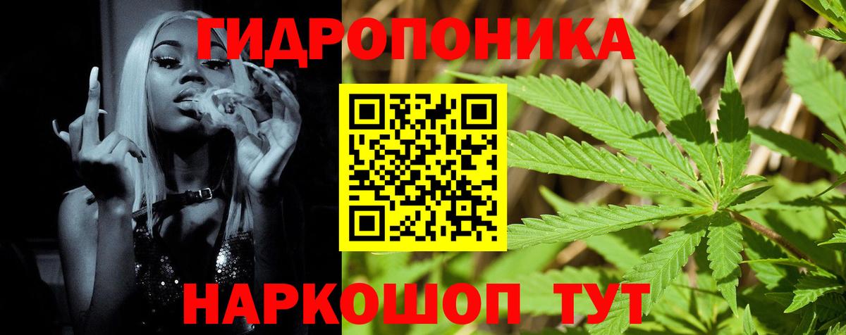 Шишки марихуана White Widow Новодвинск